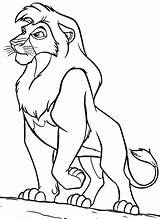 Lion Standing Drawing Getdrawings sketch template
