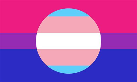 bi flag with trans insert r queervexillology