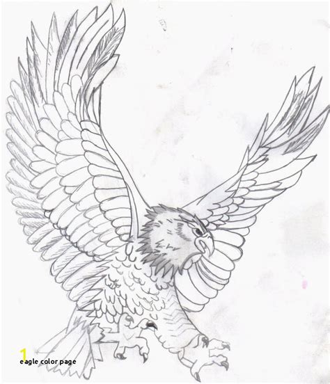 eagle mandala coloring pages divyajananiorg