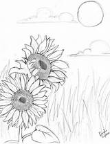 Drawing Sunflower Simple Sunflowers Getdrawings sketch template