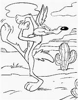 Coloring Tunes Looney Coyote sketch template