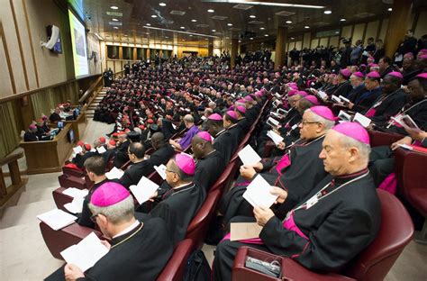 history   synod  bishops vatican news