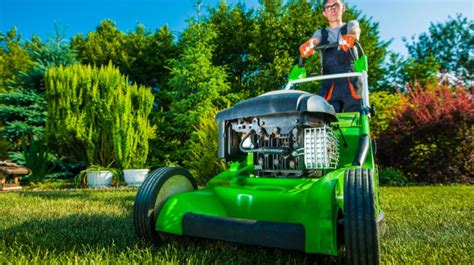 start  landscaping business small business trends