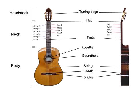 guitar guide  beginners lessonface