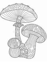 Coloring Pages Mushroom Mandala Mushrooms Printable Books Toadstools Adults Adult Noir Fairy Pokemon Drawing Stock sketch template