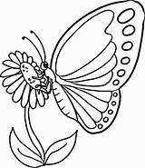 Butterfly sketch template