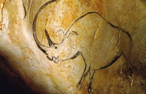 filerhinoceros grotte chauvetjpg wikimedia commons