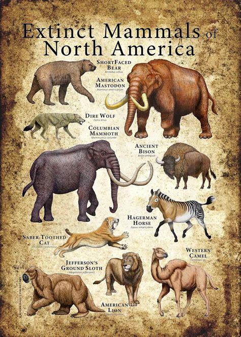 extinct animals     years
