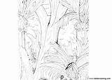 Jungle Coloring Pages Plants Printable Adults Kids sketch template