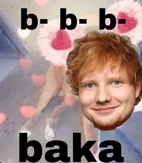 Ed Sheeran Meme Know Your Meme Simplybe