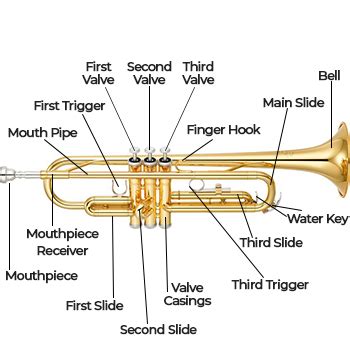 trumpet repair pricing  ward brodt