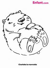 Marmotte Coloriages Marmota Dort Colorier Groundhog Largement Archivioclerici Danieguto Fia sketch template