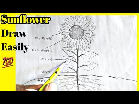 sunflower disc parts diagram rudiisabrena