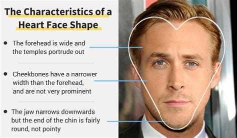 heart face shape pick   beard   definitive guide