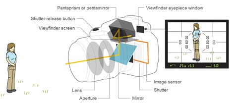basic parts  dslr camera   functions