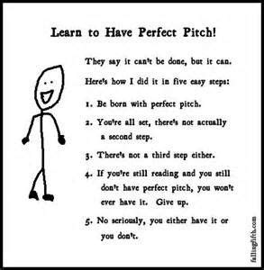 perfect pitch         real