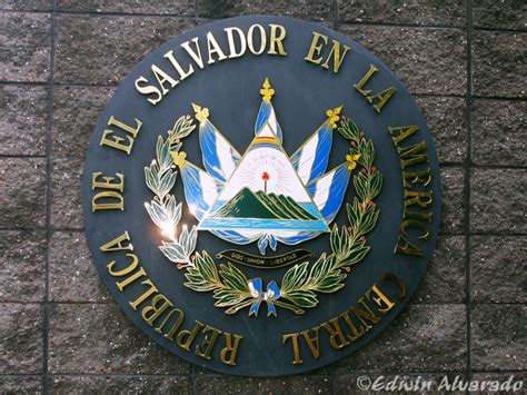 Símbolos Patrios De El Salvador En Fotos