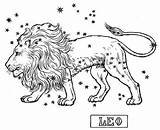 Leo Coloring Astrology Signs Designlooter 94kb 451px sketch template