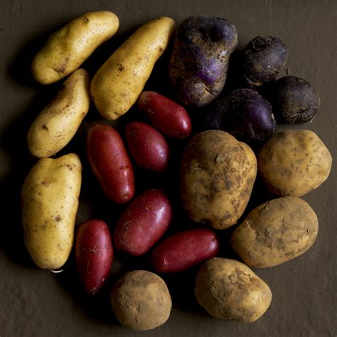 patate ricette  le patate tutte le varieta  patate consigli sulle patate