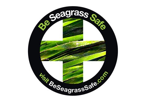 seagrass scars hurt pearl brands