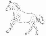 Lineart Shimmering Canter Rawr sketch template