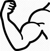 Strong Arm Drawing Muscle Vector Icon Bodybuilder Arms Bodybuilding Fitness Training Icons Svg Getdrawings Iconfinder sketch template