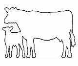 Cow Outline Calf Drawing Clipart Line Dairy Beef Clip Show Silhouette Cliparts Cows Cattle Showing Pattern Collection Library Cute Face sketch template