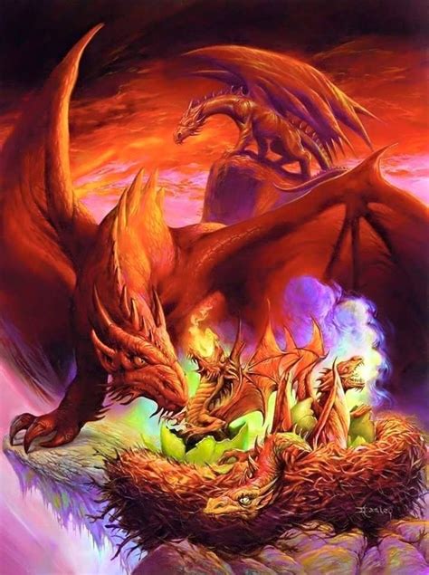 profile pictures fairies dragons   mythological creatures fantasy dragon dragon