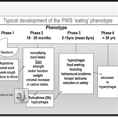 The Typical Progression Of The Prader Willi Syndrome Pws Phenotype