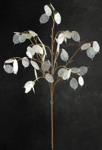 artificial pearl lunaria silver dollar branches