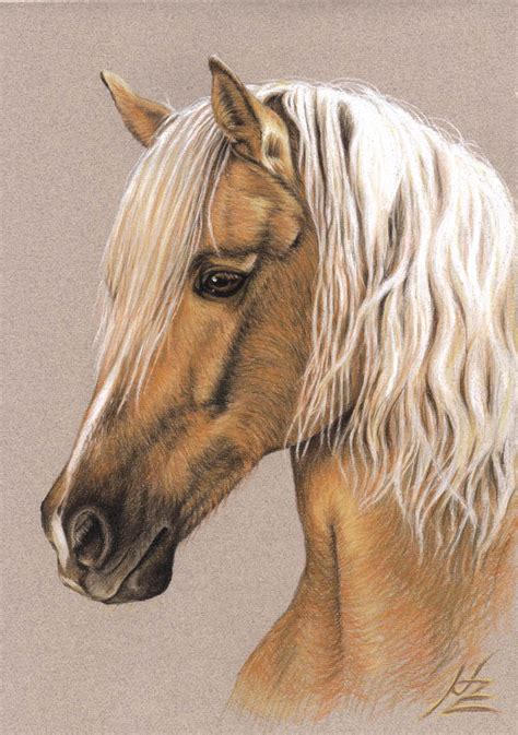 berber hengst portraet cheval pferde pferdeportrait lichtfuchs von