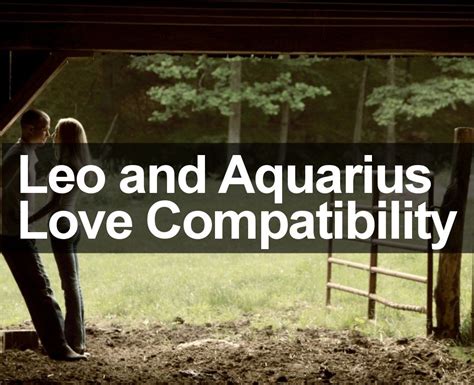 Aquarius And Leo Compatibility – The Definitive Guide Leo And