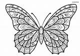 Schmetterling Ausmalbild Schmetterlinge Ausdrucken Malvorlage Malvorlagen sketch template