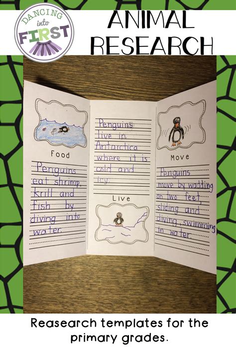 animal research templates  primary grades  grade writing