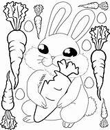 Bunny Easter Colouring Carrot Carrots sketch template