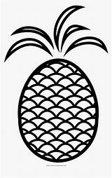 Pineapple Kindpng sketch template