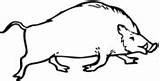 Wild Boar Coloring Pages Hog Pig Razorback Printable Drawing Color Supercoloring Gif Template sketch template