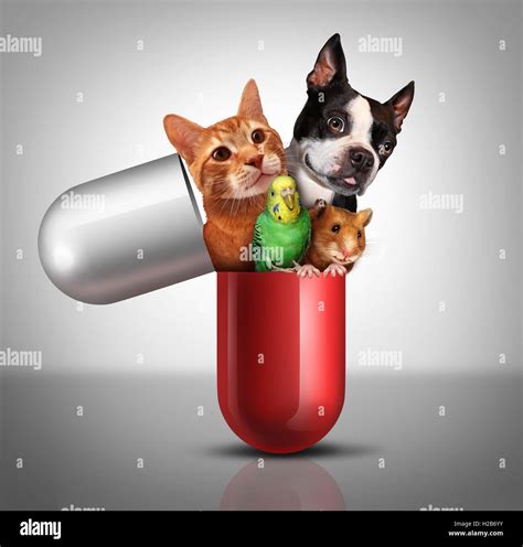 pet medicine  animal prescription drugs  veterinary pharmaceutical