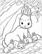Lapin Lapins sketch template