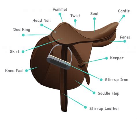 horse saddles parts guide  saddle learning games allpony