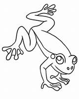 Frog Coloring Pages Printable Kids sketch template