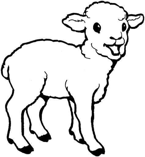 lambs colouring pages