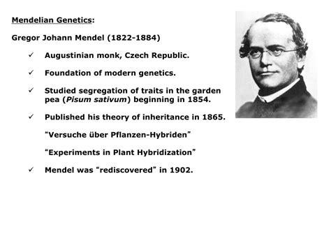 Ppt Classical Genetics Lectures Chapter 11 Mendelian Genetics