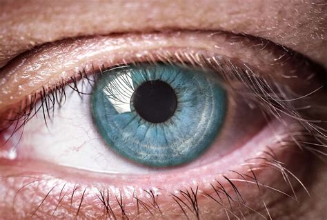 Eye Diseases 10 Common Eye Diseases
