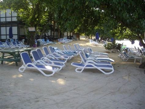 looking from the nude grill to the prude side along the beach picture of hedonism ii negril