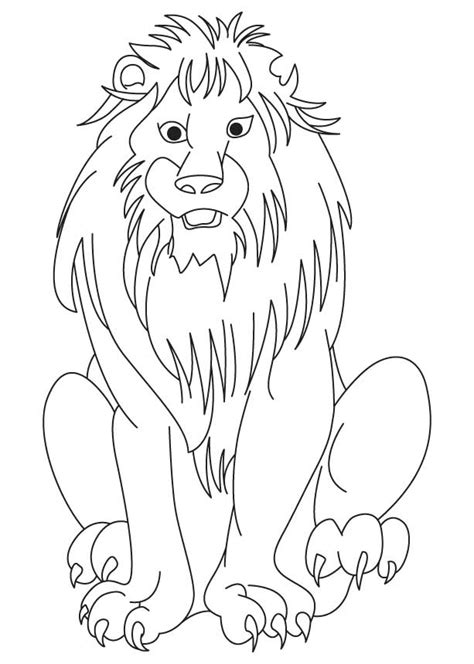 african lion coloring page   african lion coloring page