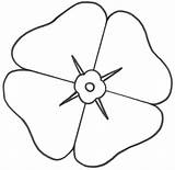 Poppy Template Flower Remembrance Coloring Poppies Printable Colouring Anzac Drawing Flowers Craft Pages Kids Outline Bigactivities Activities Learning Paper Shape sketch template