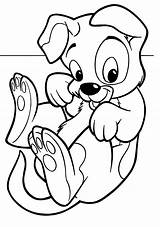 Cane Cani Cuccioli Pagine Rappresentano sketch template