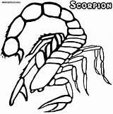Scorpion Coloring Pages Colorings Book Print sketch template