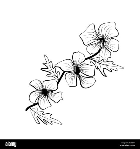 flower background outline images   designs